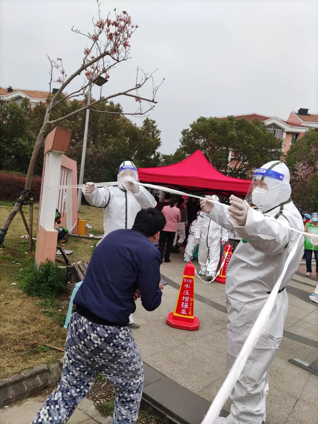 道听丨道朋律师助力抗疫，静待暖春，疫去燕归来(图28)